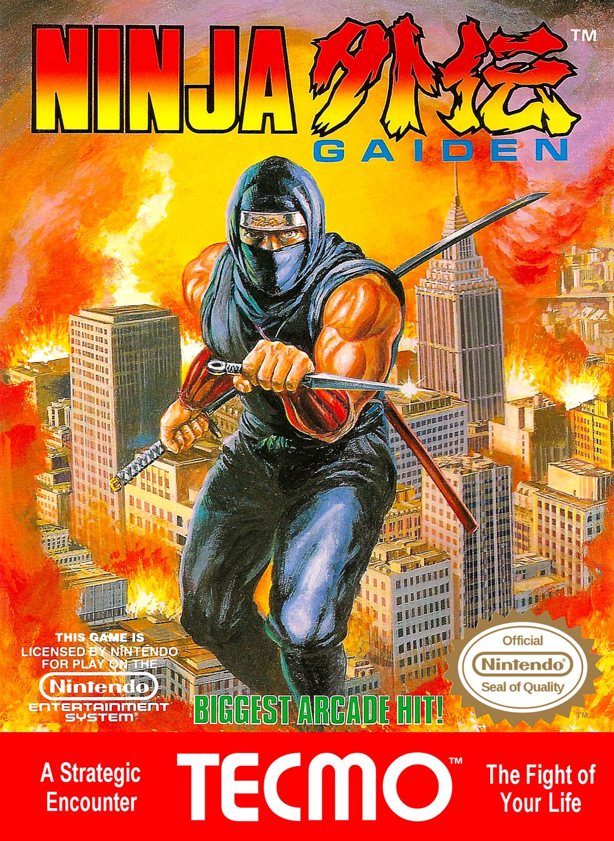 Ninja Gaiden Box Art